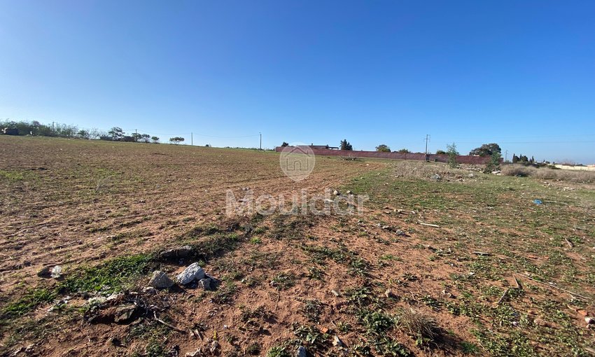 Wyjątkowa oferta: teren rolny o powierzchni 6883 m² w El Menzeh - view 5