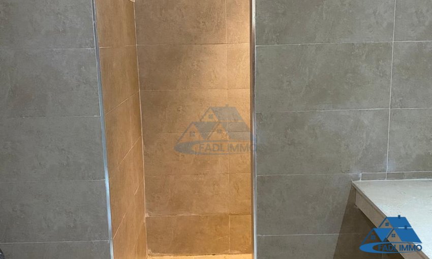 SPACIOUS APARTMENT FOR RENT IN EL MENZEH - view 9