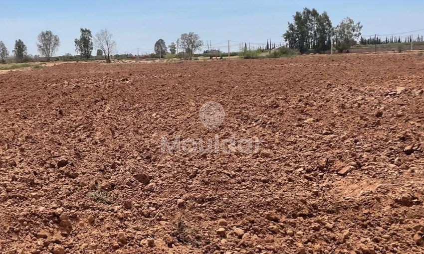 Teren agricol de vânzare: la 15 km de Marrakech - view 5