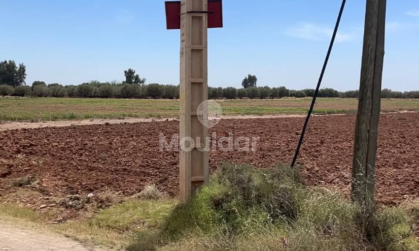 Teren agricol de vânzare: la 15 km de Marrakech - view 8