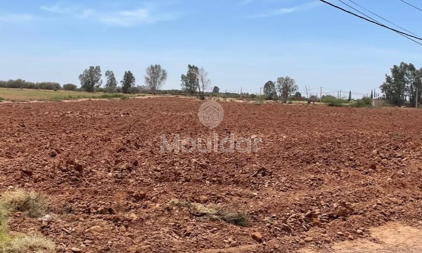 Teren agricol de vânzare: la 15 km de Marrakech - view 2