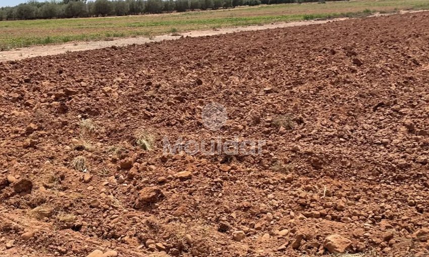 Teren agricol de vânzare: la 15 km de Marrakech - view 6