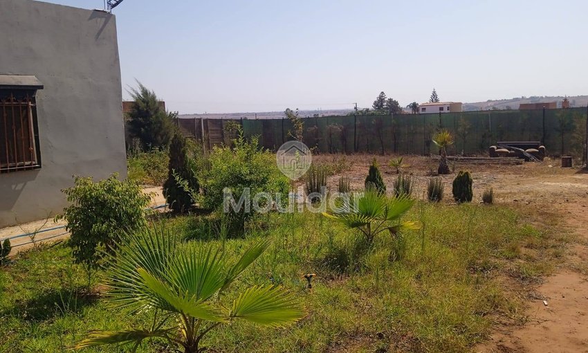 أرض زراعية للبيع في المحمدية - 1200م² للفرصة - view 5