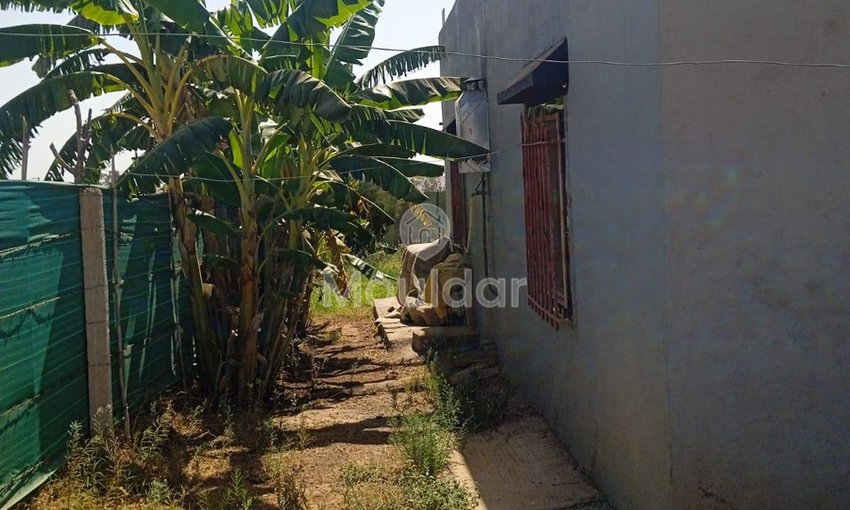 أرض زراعية للبيع في المحمدية - 1200م² للفرصة - view 10