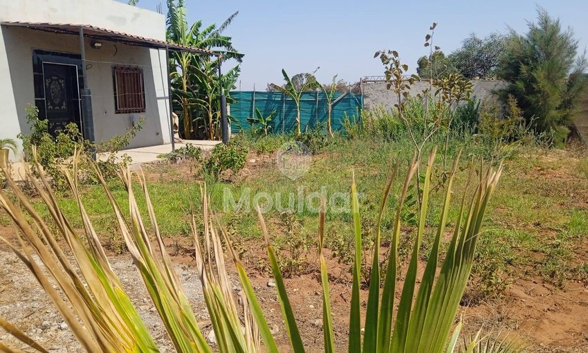 أرض زراعية للبيع في المحمدية - 1200م² للفرصة - view 2