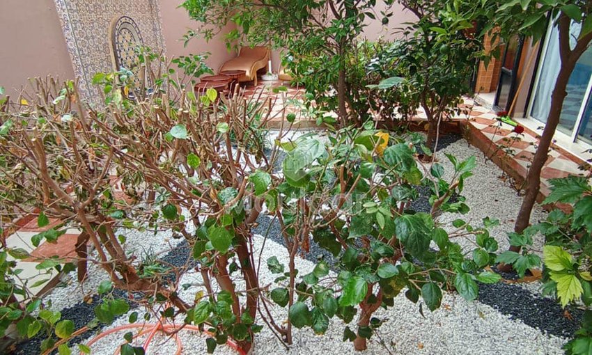 Vilă de închiriat în Marrakech: Confort și Eleganță în oraș - view 10