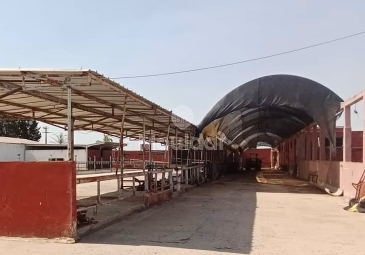 Fermette à Souk El Arbaa : 27ha de Potentiel Agricole Fermette à Souk El Arbaa : 27ha de Potentiel Agricole