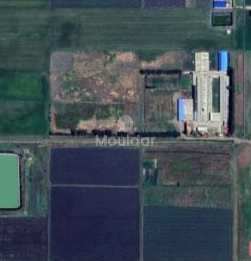 Fattoria in Souk El Arbaa: 27 ha di Potenziale Agricolo - view 5