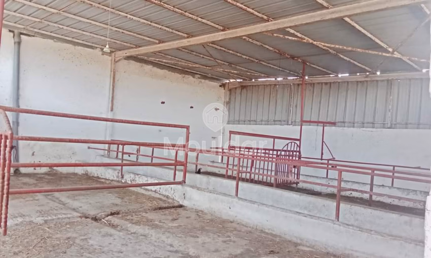 Fermette à Souk El Arbaa : 27ha de Potentiel Agricole Fermette à Souk El Arbaa : 27ha de Potentiel Agricole