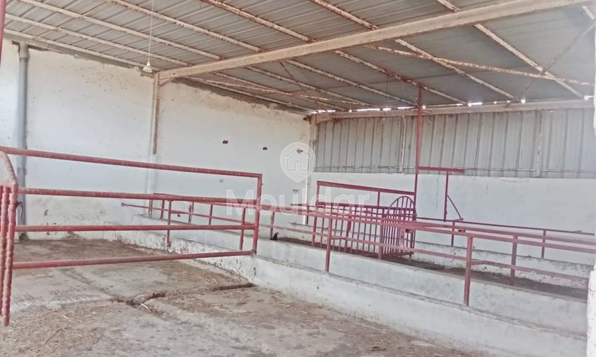 Fattoria in Souk El Arbaa: 27 ha di Potenziale Agricolo - view 2