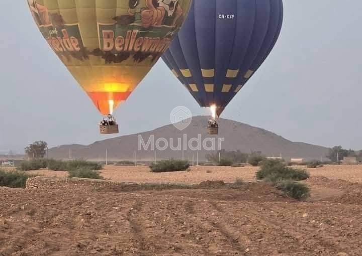 Agricultural Land for Sale in Marrakech - Fes Road - view 4