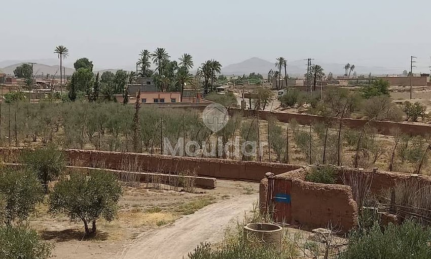Agricultural Land for Sale in Marrakech - Fes Road - view 2