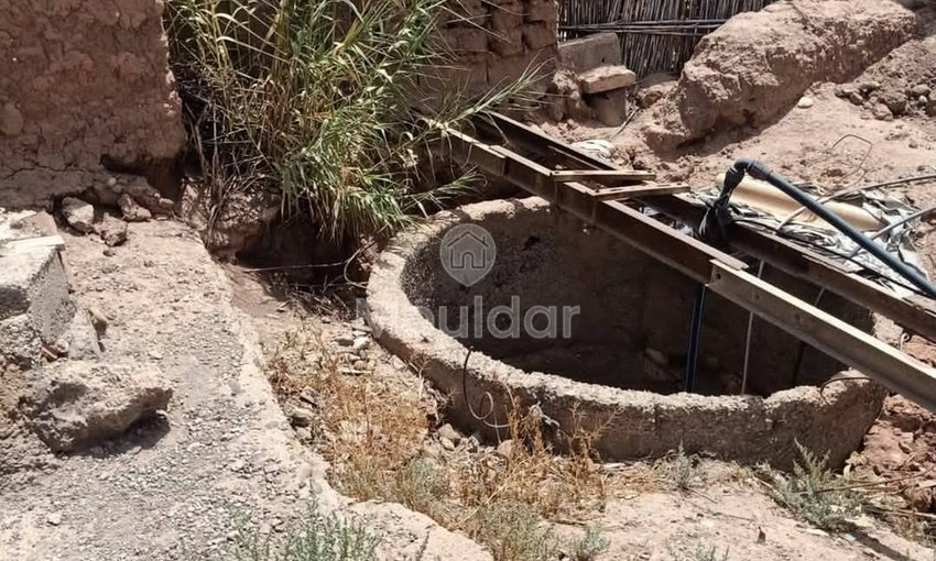 Agricultural Land for Sale in Marrakech - Fes Road - view 15