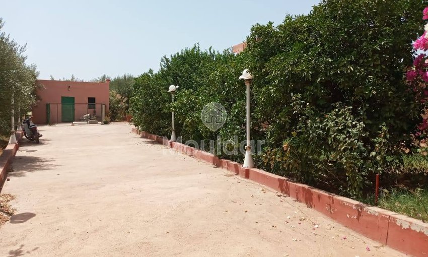 Bezoekers Riad te koop in Marrakech - 8 Ruime Kamers - view 5