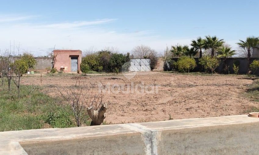 أرض زراعية للبيع في مراكش: 2530م² من الإمكانيات - view 3