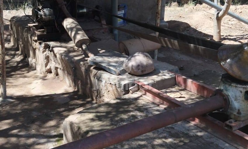 أرض زراعية للبيع في مراكش: 2530م² من الإمكانيات - view 5