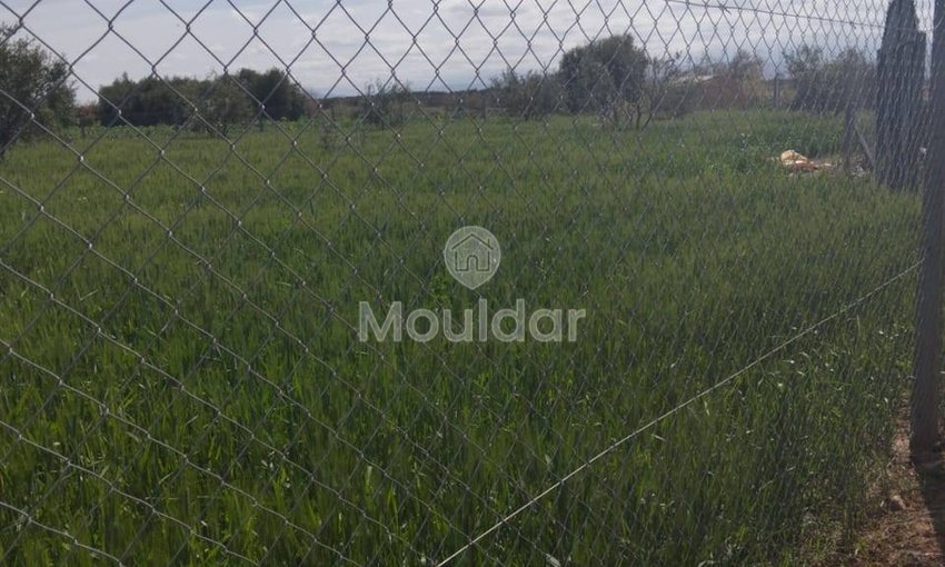 Terrain Exceptionnel à Vendre à Marrakech - 4205m² Agricole - view 4