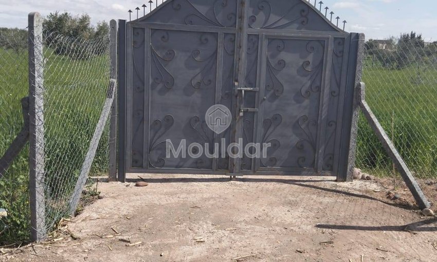 Terrain Exceptionnel à Vendre à Marrakech - 4205m² Agricole - view 2