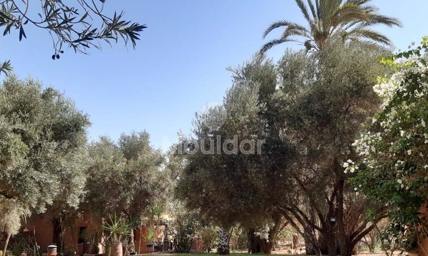 Vila de vis: Închiriați oază de lux în Marrakech - view 8