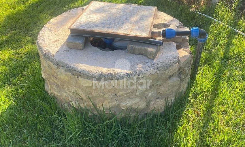 فيلا أحلام في الصويرة: 4 غرف استثنائية للبيع - view 5