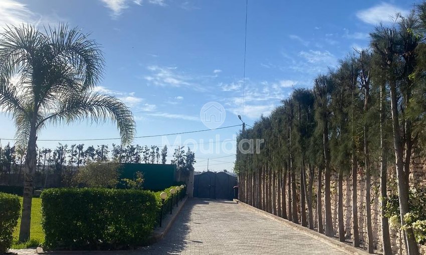 فيلا أحلام في الصويرة: 4 غرف استثنائية للبيع - view 16