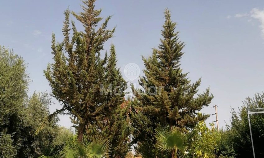 Villa de Charme à Vendre à Marrakech - 3 Chambres Spacieuses - view 11