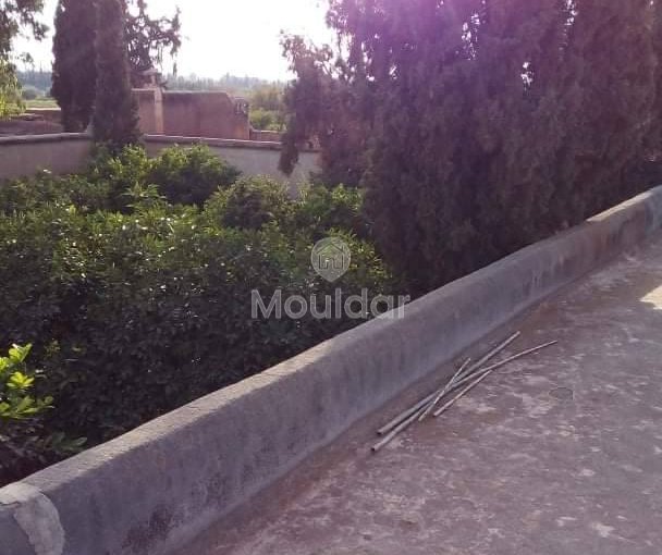 Riad na sprzedaż: Ucieczka rolnicza na 3000 m² w Marrakeszu - view 5