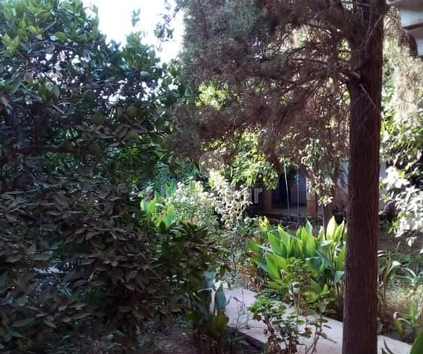 Riad na sprzedaż: Ucieczka rolnicza na 3000 m² w Marrakeszu - view 15