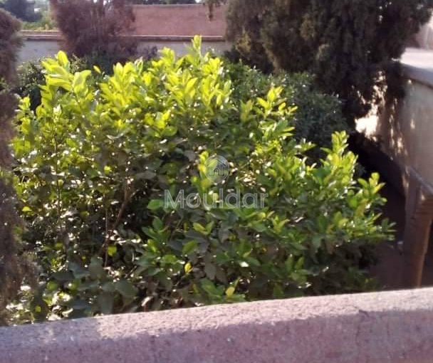 Riad na sprzedaż: Ucieczka rolnicza na 3000 m² w Marrakeszu - view 8