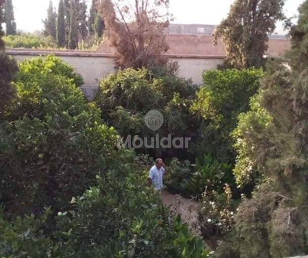 Riad na sprzedaż: Ucieczka rolnicza na 3000 m² w Marrakeszu - view 7