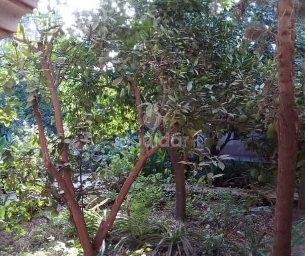 Riad na sprzedaż: Ucieczka rolnicza na 3000 m² w Marrakeszu - view 13