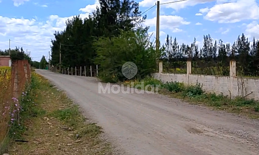 أرض زراعية للبيع في بنسليمان - 7000م² فرصة لا تعوض