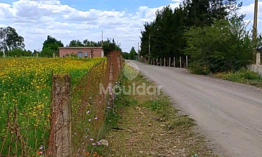 Agricultural Land for Sale in Benslimane - 7000m² to Seize - view 4