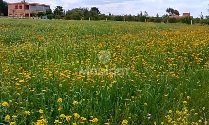 أرض زراعية للبيع في بنسليمان - 7000م² فرصة لا تعوض