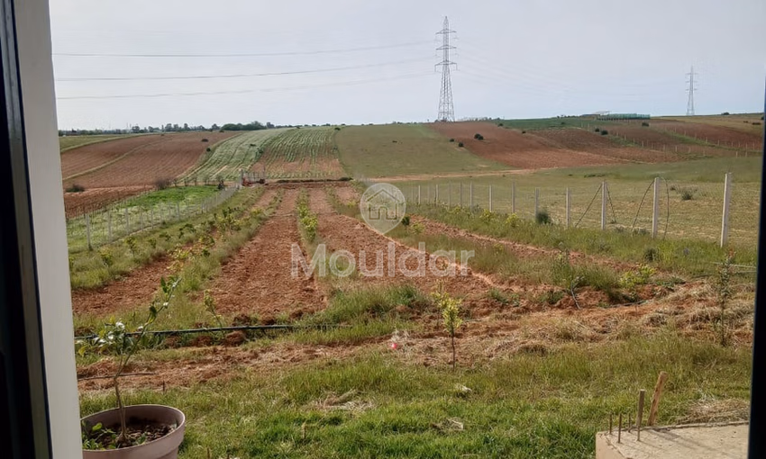 Ferme d'Exception à Vendre : 3100m² à Kénitra Ferme d'Exception à Vendre : 3100m² à Kénitra