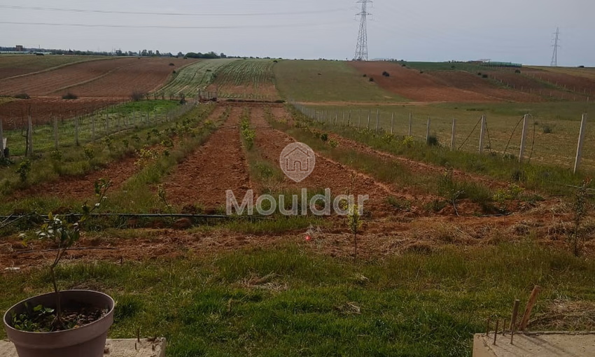 Ferme d'Exception à Vendre : 3100m² à Kénitra