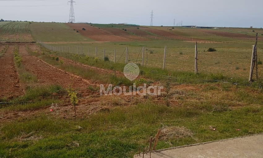 Ferme d'Exception à Vendre : 3100m² à Kénitra Ferme d'Exception à Vendre : 3100m² à Kénitra