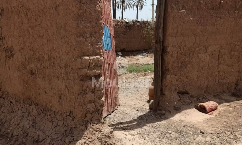 House for Sale in Marrakech – 5000m² in Agricultural Zone - view 18