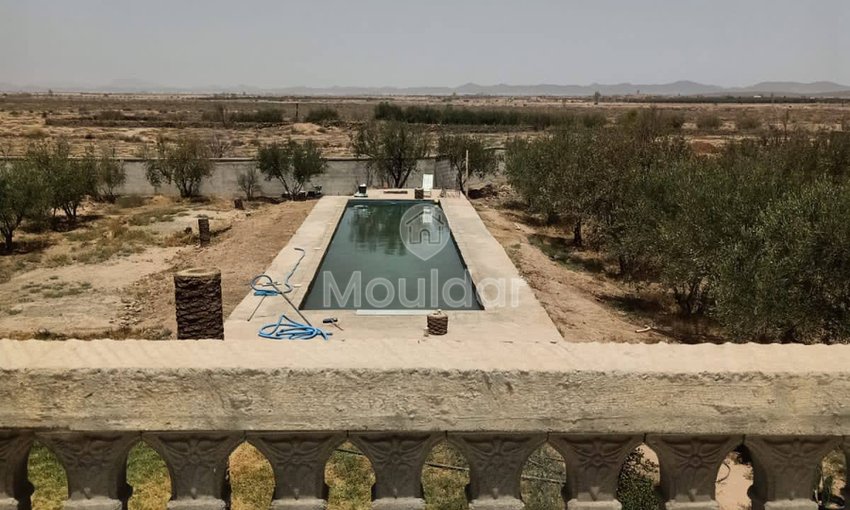 House for Sale in Marrakech – 5000m² in Agricultural Zone - view 12