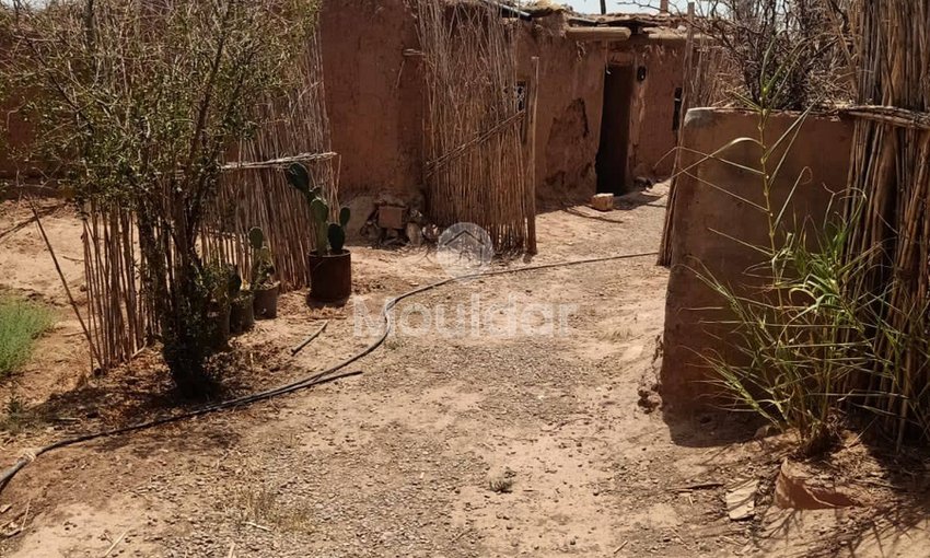 House for Sale in Marrakech – 5000m² in Agricultural Zone - view 19