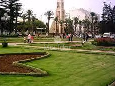 Apartments for Sale: 3 Bedrooms in Mohammedia, Park District Apartments for Sale: 3 Bedrooms in Mohammedia, Park District