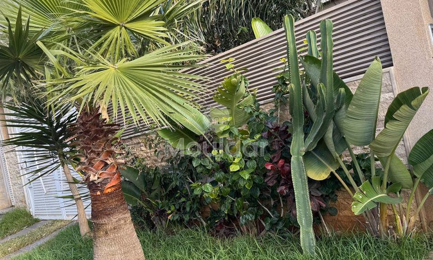 Villa Spacieuse à Vendre à Mohammedia - 5 Chambres Charmantes