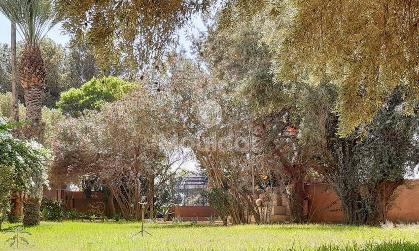 Villa di lusso in affitto a Marrakech – Fuga perfetta - view 18