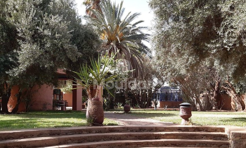 Villa di lusso in affitto a Marrakech – Fuga perfetta - view 15
