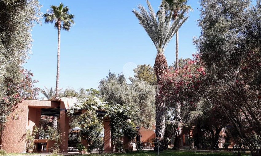 Villa di lusso in affitto a Marrakech – Fuga perfetta - view 17