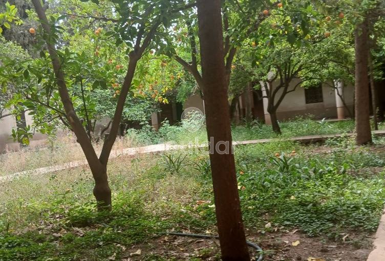 AVVISO PER INVESTIMENTI – 5 camera sorprendenti - view 7