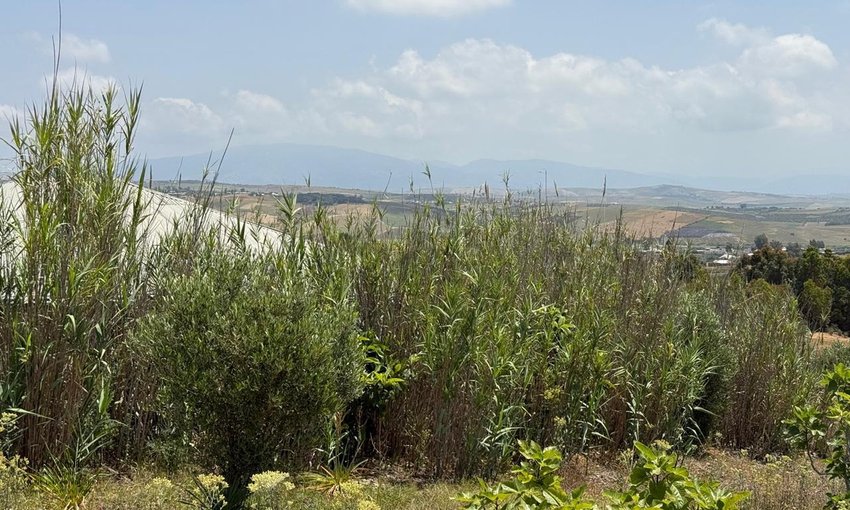 Casa de campo y terreno de 4880 m2 - view 9