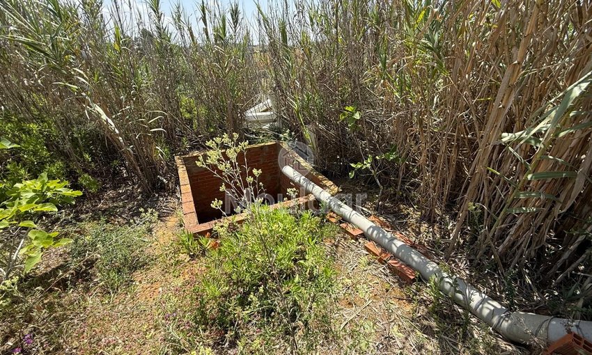 Όμορφη εξοχική κατοικία προς πώληση στην Ασίλα - Οικόπεδο 4880 m² - view 6