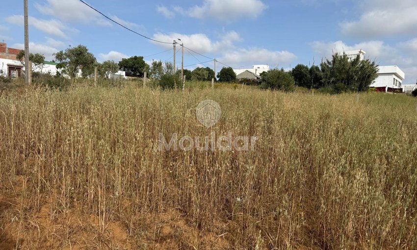 Όμορφη εξοχική κατοικία προς πώληση στην Ασίλα - Οικόπεδο 4880 m² - view 11