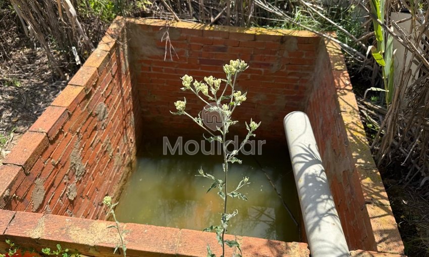 Όμορφη εξοχική κατοικία προς πώληση στην Ασίλα - Οικόπεδο 4880 m² - view 7